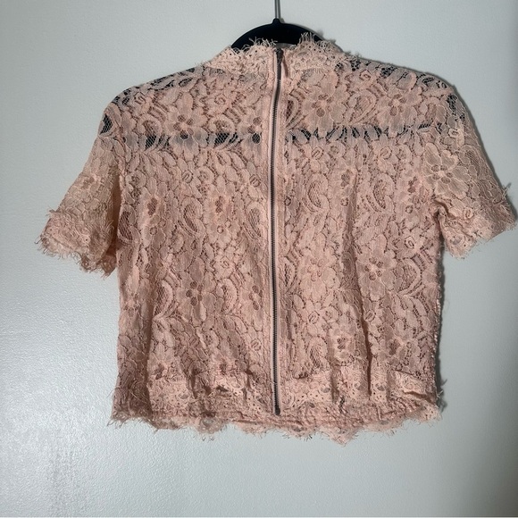 Zara Trafaluc Lace Blouse Crop Shirt Zip Back Blush Pink Women’s Size Small - Picture 4 of 10